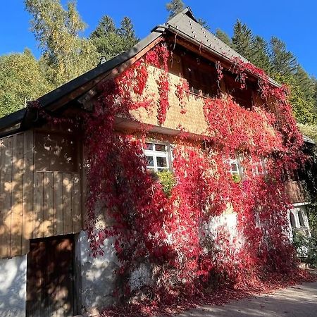 Apartmán Auszeit Am Kreisbach Triberg im Schwarzwald Exteriér fotografie