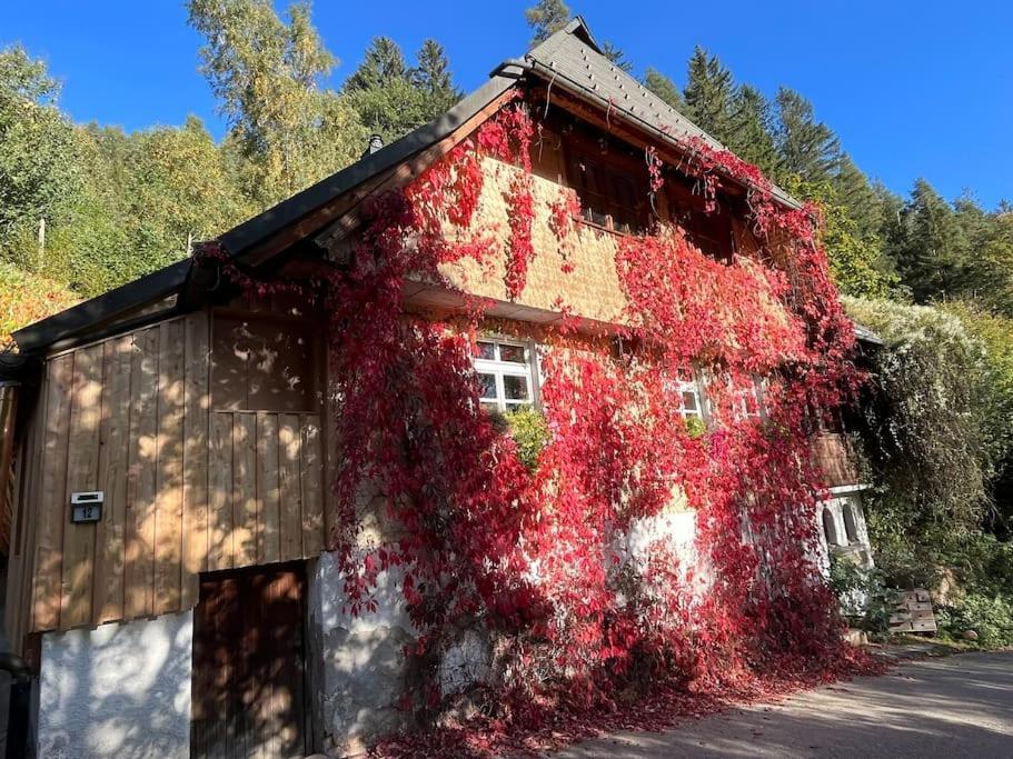 Apartmán Auszeit Am Kreisbach Triberg im Schwarzwald Exteriér fotografie